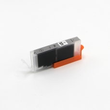 Kompatibilní s Canon CLI-571XLGY / 12ml Inkoust Šedá (Inkoustové kazety)