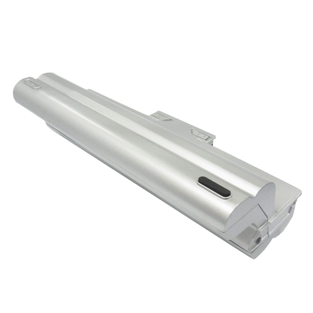 CS-BPS21DT