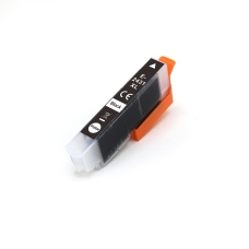 Kompatibilní s Epson C13T24314012 / 13ml Inkoust Černá (Inkoustové kazety)